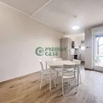 Rent 3 bedroom apartment of 85 m² in Turin