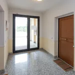 Rent 1 bedroom apartment in Rome