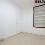 Pronajměte si 1 ložnic/e byt o rozloze 30 m² v Brno