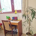 Rent 1 bedroom apartment of 20 m² in Prague