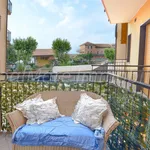 Rent 1 bedroom apartment of 30 m² in Borgio Verezzi