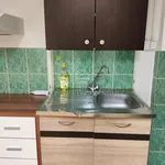 Rent 1 bedroom apartment of 16 m² in Frýdek-Místek