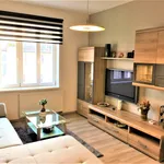 Rent 1 bedroom apartment in Prague