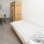 Rent 5 bedroom apartment in Berlin