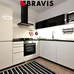 Rent 2 bedroom apartment of 35 m² in Brno