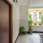 Rent 1 bedroom apartment of 40 m² in Milano