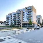 Rent 2 bedroom apartment of 48 m² in České Budějovice