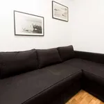 Rent 1 bedroom apartment of 45 m² in madrid