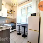 Rent 1 bedroom apartment of 37 m² in Łódź