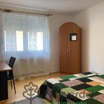 Rent 4 bedroom apartment of 82 m² in Debrecen