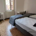 Rent 2 bedroom apartment of 90 m² in Bologna