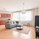 Rent 2 bedroom apartment of 58 m² in Otrokovice