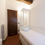 Rent 3 bedroom apartment of 100 m² in florence