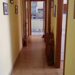 Rent 5 bedroom apartment of 100 m² in Chieti