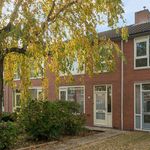 Rent 5 bedroom house of 95 m² in Paddepoel-Noord