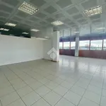 Affitto 1 camera appartamento di 175 m² in Porto Mantovano