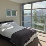 Rent 3 bedroom apartment in Christchurch