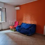 Rent 4 bedroom apartment of 120 m² in Cologno Monzese