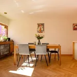 Rent 1 bedroom apartment in porto