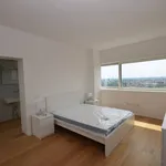 Rent 3 bedroom apartment of 80 m² in Padova