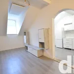 Rent 1 bedroom apartment in Karlovy Vary