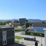 Rent 1 bedroom apartment of 20 m² in Trondheim