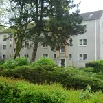 Rent 3 bedroom house of 55 m² in Dusseldorf