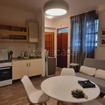 Rent 2 bedroom apartment of 45 m² in Pescara