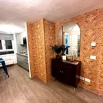 Rent 1 bedroom apartment in Florence