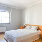 Rent 1 bedroom apartment in lisbon