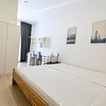 Rent 1 bedroom apartment in Brno