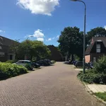 Rent 1 bedroom house of 17 m² in Middelburg