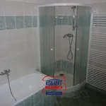 Rent 3 bedroom apartment in České Budějovice