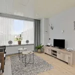 Rent 3 bedroom house of 75 m² in Terneuzen