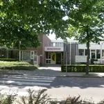 Rent 1 bedroom apartment in Munstergeleen