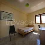 Rent 3 bedroom apartment of 92 m² in Matera