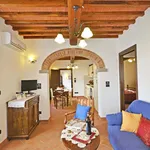 Rent 11 bedroom apartment of 240 m² in Cortona