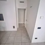 Rent 1 bedroom apartment of 100 m² in seregno