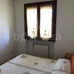 Rent 1 bedroom apartment of 49 m² in Sovicille