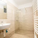 Rent 2 bedroom apartment of 49 m² in Počátky