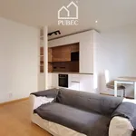 Rent 2 bedroom apartment in Pilsen