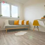 Rent 1 bedroom apartment of 19 m² in Brno-Kohoutovice