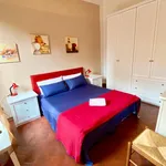 Rent 1 bedroom apartment of 35 m² in florence