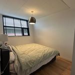 Rent 1 bedroom apartment in Delfgauw