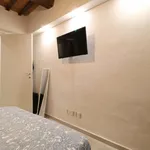 Rent 1 bedroom apartment of 28 m² in Siena