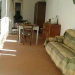 Rent 1 bedroom apartment in Florence