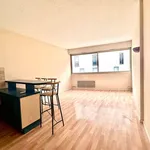 Rent 1 bedroom apartment of 25 m² in LYON 03