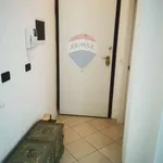 Rent 3 bedroom apartment of 85 m² in Bologna