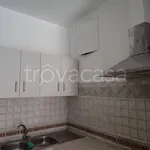 Rent 1 bedroom apartment of 60 m² in Velletri