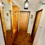 Rent 2 bedroom apartment of 50 m² in Pilsen